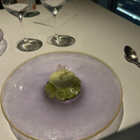 XEX TOKYO / Salvatore Cuomo Bros. - 