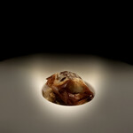 パルコ フィエラ - 