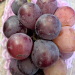 ロピア - ピオーネ様　いらっしゃいませ♫