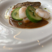 vino italiano zizi cucina - 