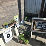 こーとれっと - 多肉植物も販売中
多肉屋もりもりさん