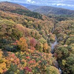 八甲田そば処きこり - 弘前方面　岩木山は見えなかった