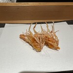 西麻布 天ぷら魚新 - 海老頭