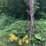 八甲田そば処きこり - 黄色いレンゲツツジ！