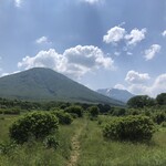 八甲田そば処きこり - 新緑賀綺麗だった！