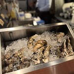 オイスター&イタリアン スパイラル - 