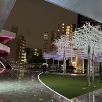 MOSS CROSS TOKYO - 