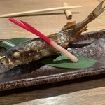 ハタハタ屋敷 - 