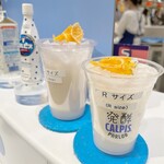 発酵 CALPIS PARLOR - 