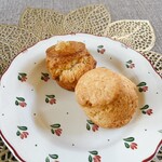 Komorebi SCONE