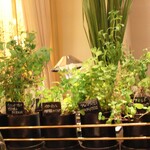 ガストロノミー ジョエル・ロブション - ⑪フレッシュハーブワゴン