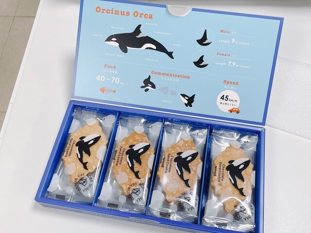 海月様♡ご確認用 WS】月雪ミヤコ(水着)(サイン)【SP】BAV/W112-038SPヴァイス