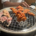 トリホルテルヤ - 