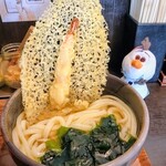 手打うどん 丸亀渡辺 - 半蔵落とし　四門が１つ……朱雀！