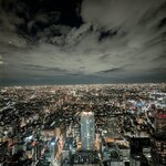 天空の庭　星のなる木 - 