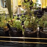 ガストロノミー ジョエル・ロブション - ⑪フレッシュハーブワゴン