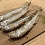 八王子 貝介 - ししゃも