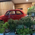 イル コテキーノ - 