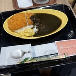 博多カレー研究所 博多とんこつあごだしカレー - 