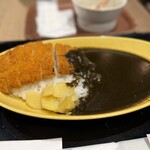 博多カレー研究所 博多とんこつあごだしカレー - 
