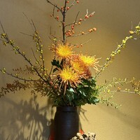 天満橋 藤かわ - 