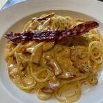 シャイニーアウル - 