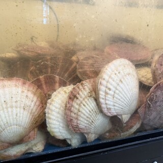 さるふつまるごと館_1