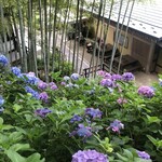 bills 七里ガ浜 - 