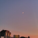 季節料理　なかしま - 