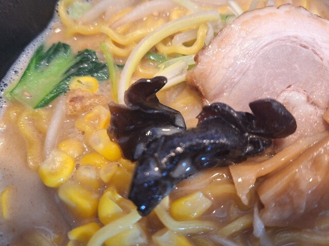 アウル（Owl） - 札幌市南区その他（ラーメン）の写真