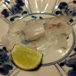 北の華 はやし - ヒラメとえんがわ