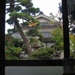 宗玄庵 - 中庭には松の木　武家屋敷の影響か??