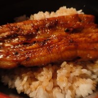 菊屋 - 鰻丼（半身）