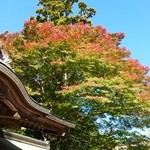 大本山　高尾山　薬王院 - 赤と黄色の鮮やかなコントラスト