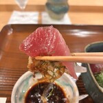 勢麟 - もちガツオのお刺身