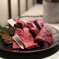 PONGA PREMIUM - 