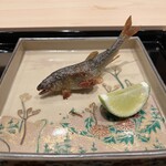 蛸薬師 ふるかわ - 