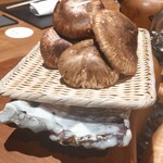 割烹 きょう - 松茸