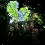 鮨居酒屋 やしま - 