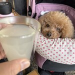 そば処 湧水 - そば湯割りで乾杯♪