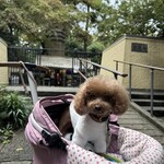 そば処 湧水 - ちゃんとお墓参りもしました。