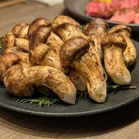 USHIGORO S. SHINJUKU - 