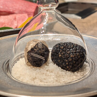 USHIGORO S. SHINJUKU - 