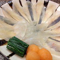 手料理 右近 - てっさ（ふぐ刺し）