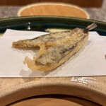 勢麟 - メヒカリ