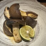 焼酎場　近どう　 - 本しめじの焼いたの