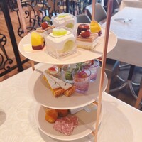 tcc GINZA -  tcc GINZA -