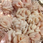 日本酒BAR 楽呑升~TANOMIMASU~ - 