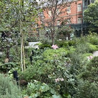 御曹司 きよやす邸 六本木本店 - 