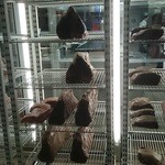 ALEXANDER'S STEAK HOUSE - 